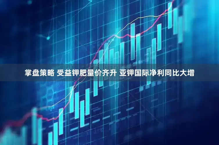 掌盘策略 受益钾肥量价齐升 亚钾国际净利同比大增