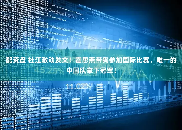 配资盘 杜江激动发文！霍思燕带狗参加国际比赛，唯一的中国队拿下冠军！