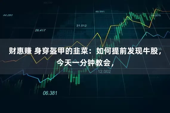 财惠赚 身穿盔甲的韭菜：如何提前发现牛股，今天一分钟教会，